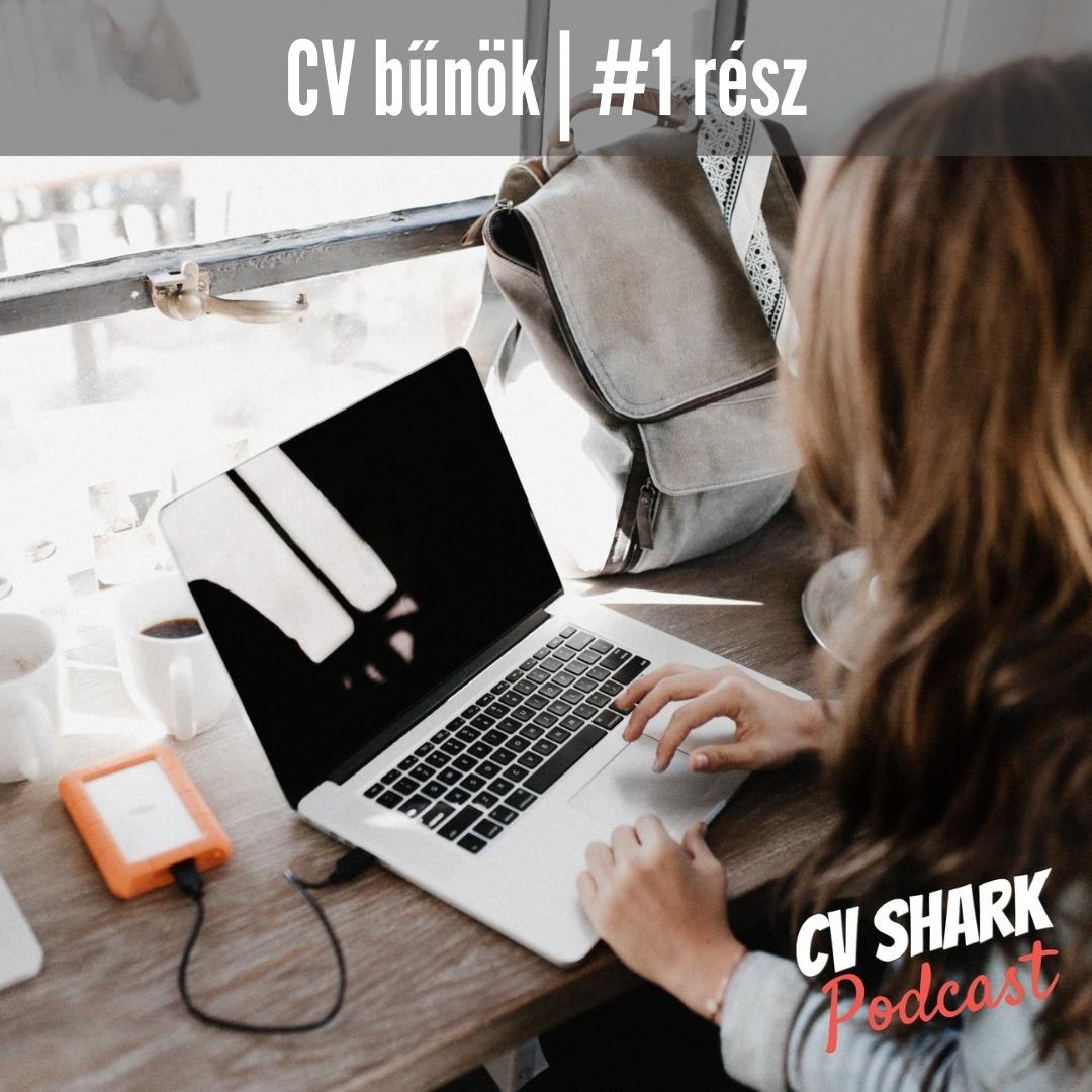 CV bűnök